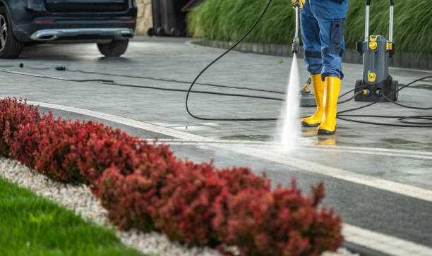 Best Driveway Pressure Washing  in Franklinton, LA